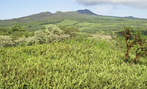 cerro mesa galapagos